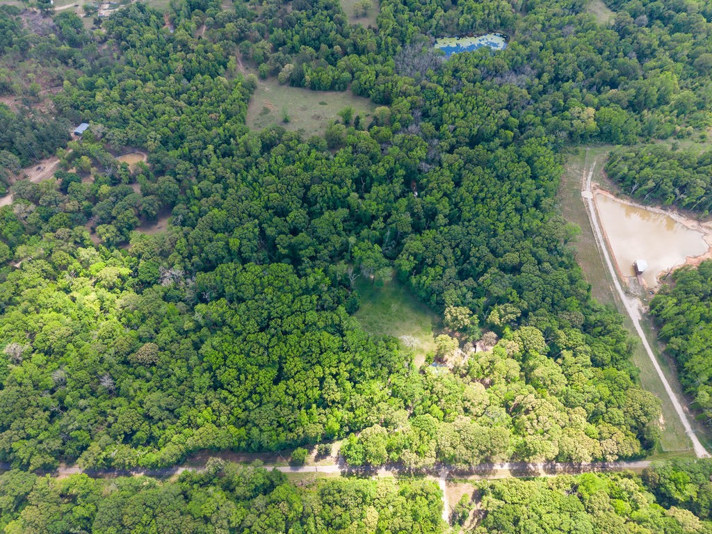 412 Vz County Road 4505 Ben Wheeler TX 75754