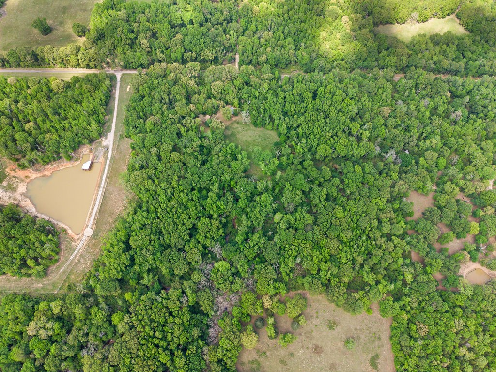 412 Vz County Road 4505 Ben Wheeler TX 75754