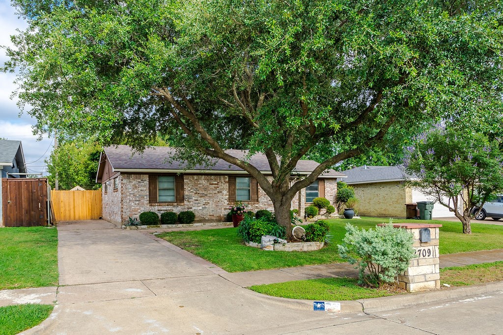 2709 Jasmine Lane Plano TX 75074