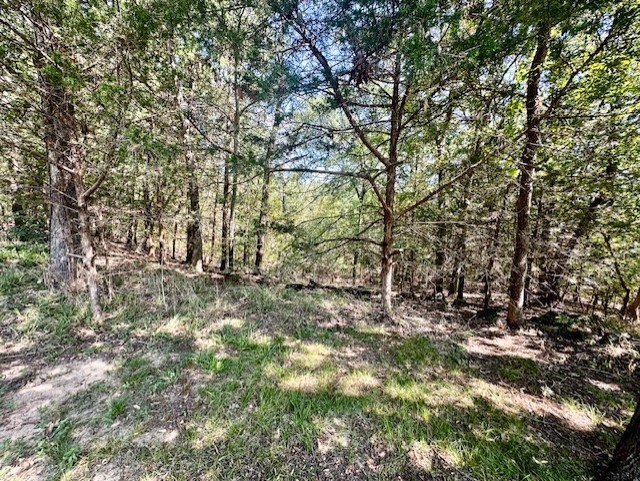 40 Cumberland Circle Denison TX 75021