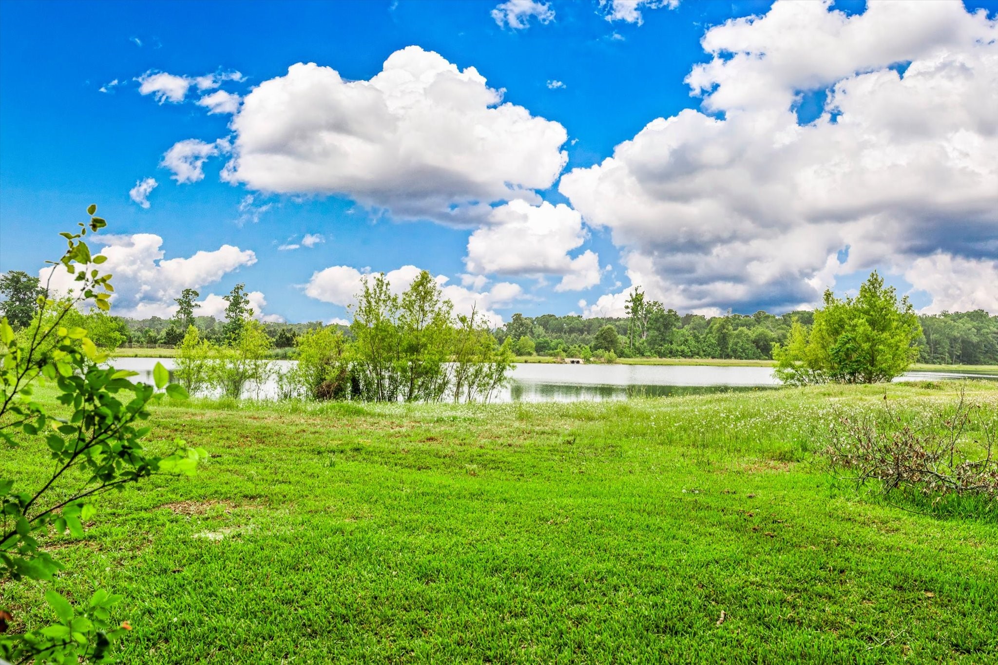 4626 Axis Trail Conroe TX 77303