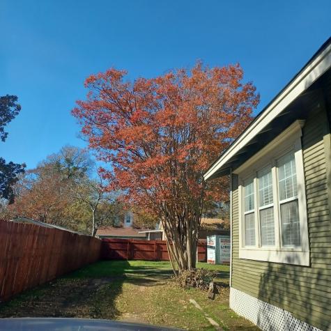 409 N Sylvania Avenue Fort Worth TX 76111