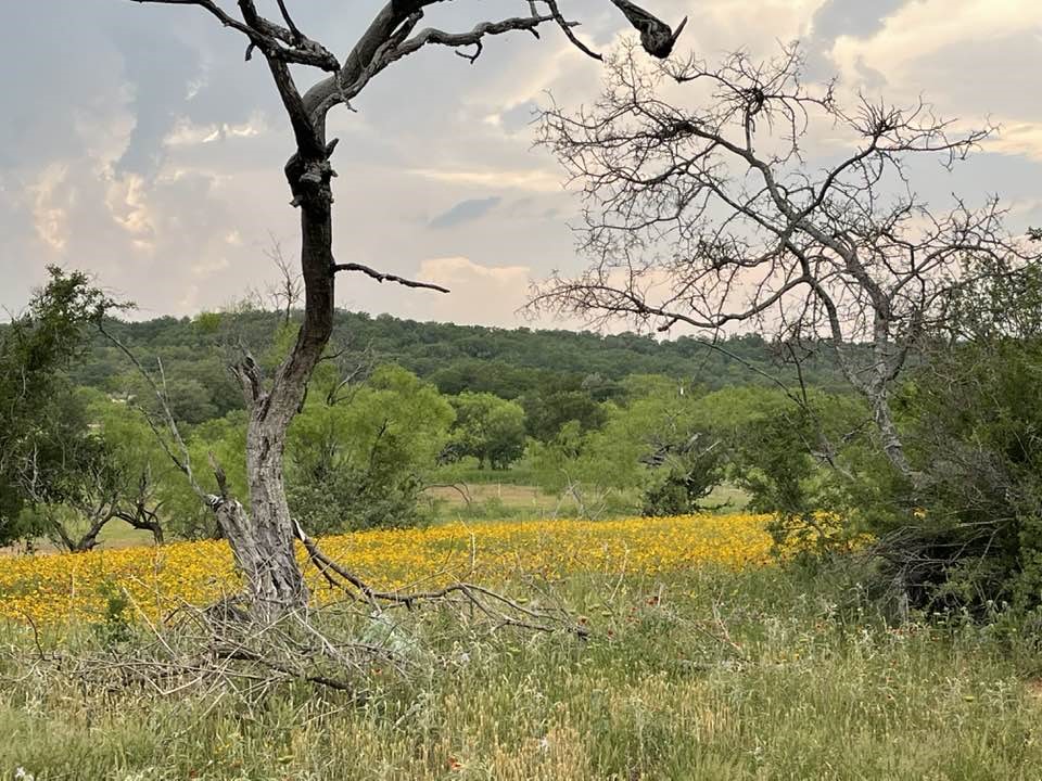 4501 Park Road 15 Brownwood TX 76801