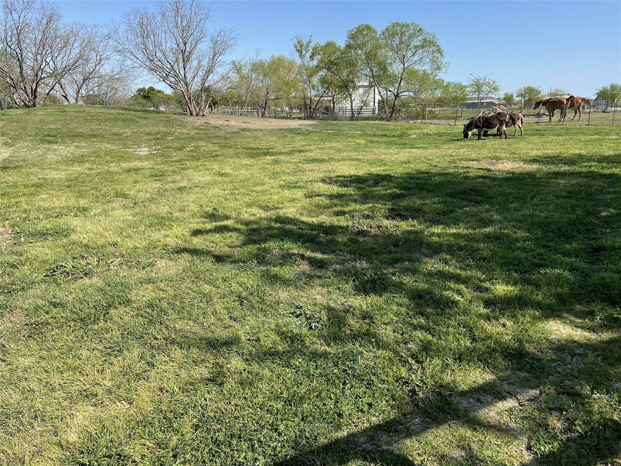 394 Emerald Glenn Lane Pilot Point TX 76258