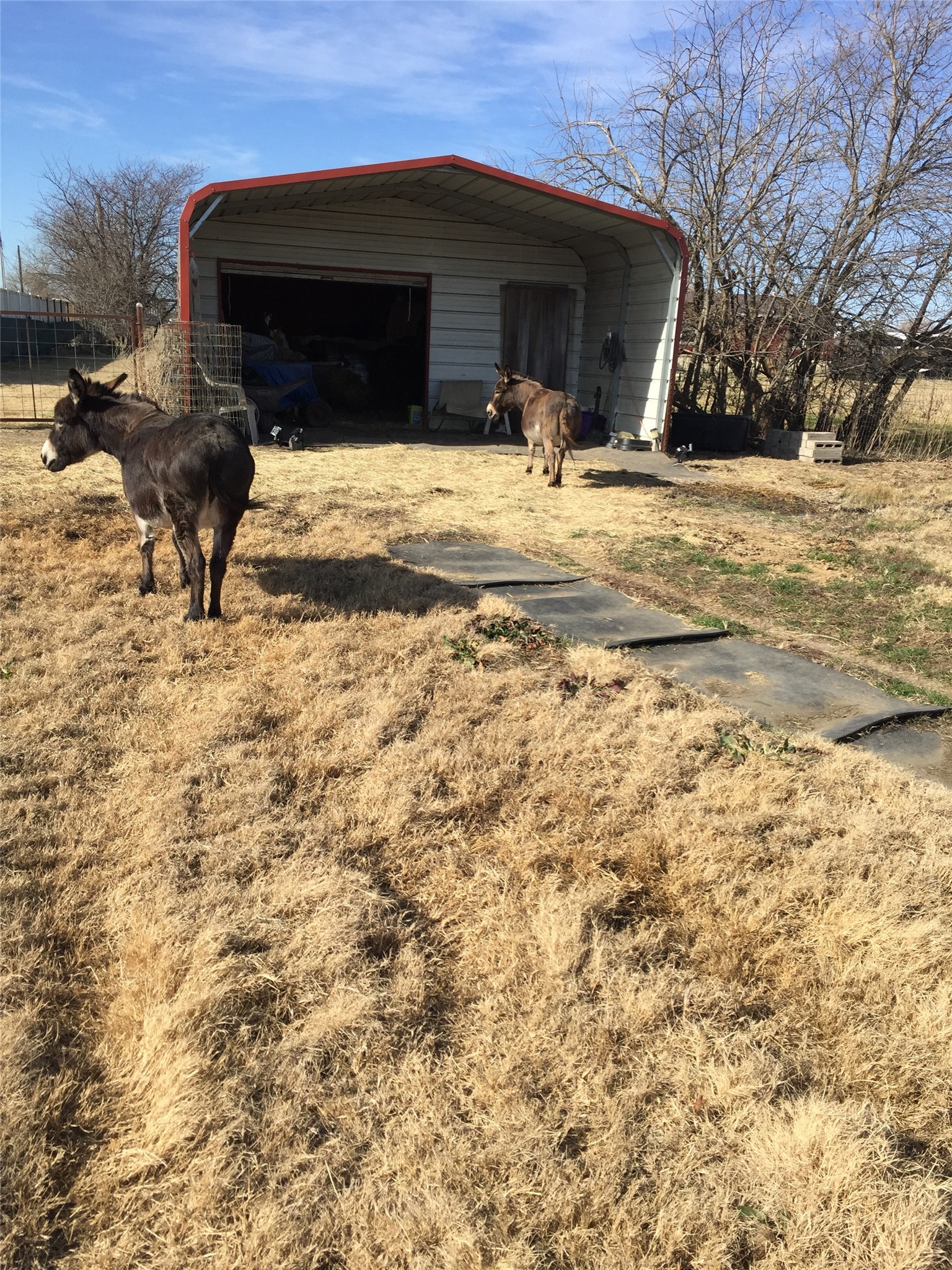 394 Emerald Glenn Lane Pilot Point TX 76258