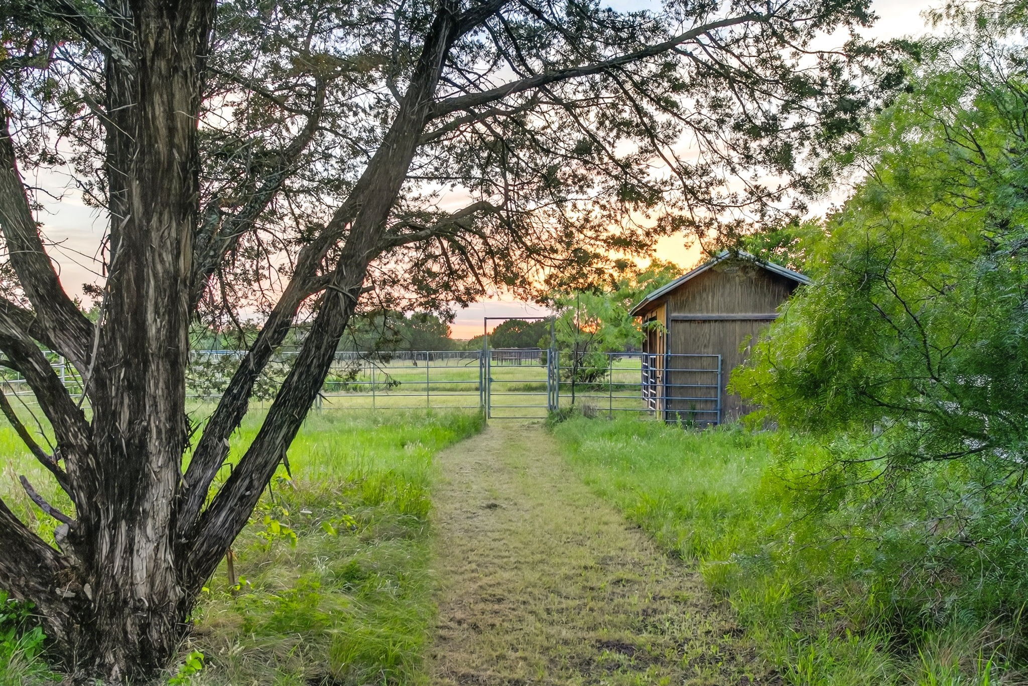 6813 Running Deer Court Granbury TX 76049