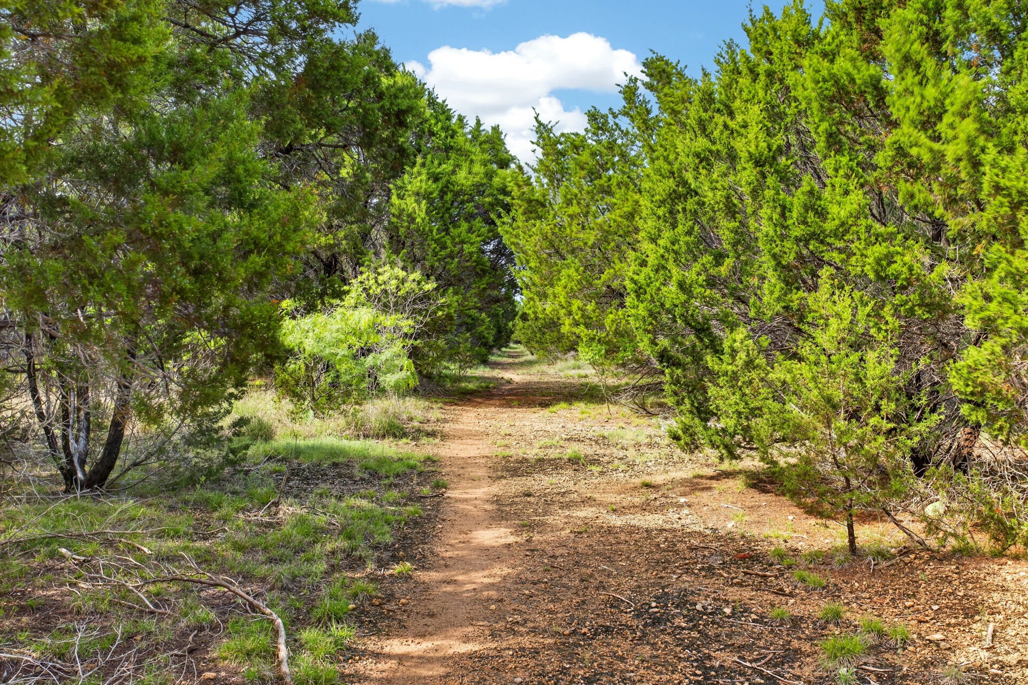6813 Running Deer Court Granbury TX 76049