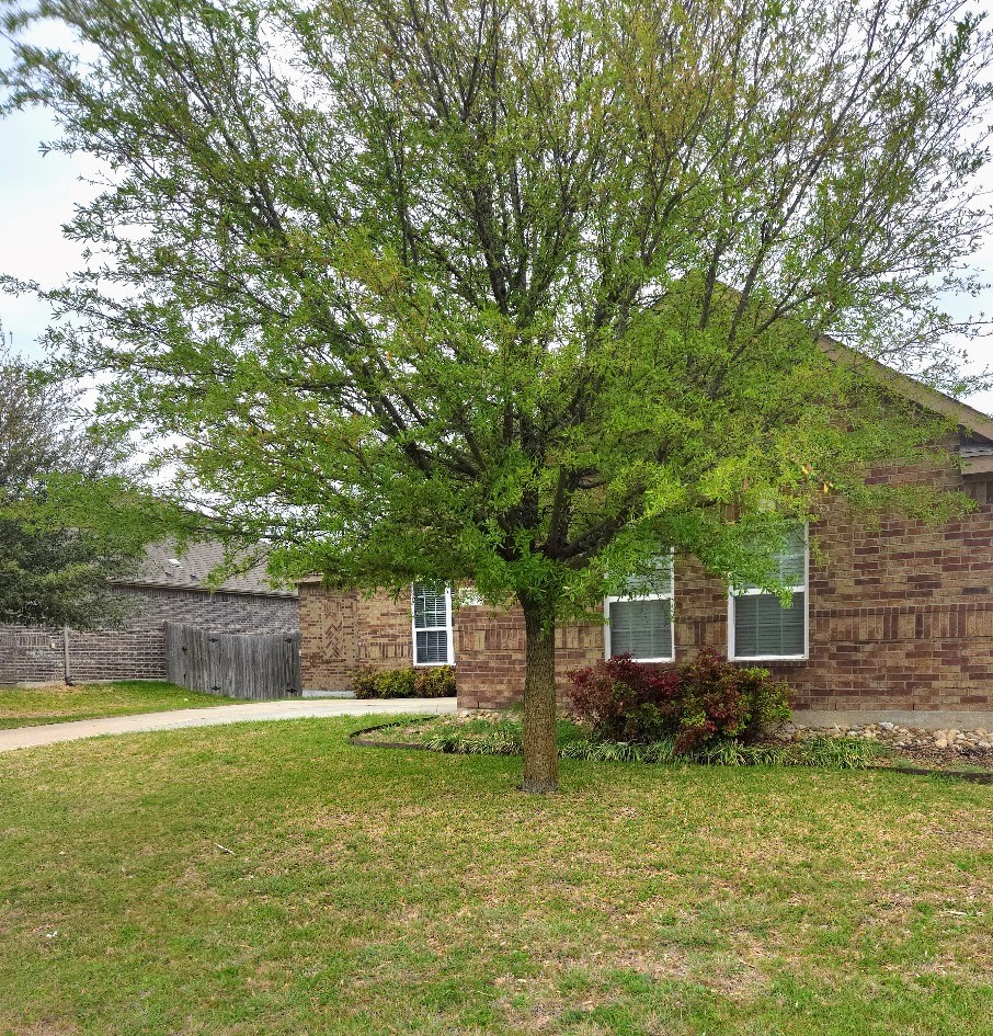 308 Kaylee Way Red Oak TX 75154