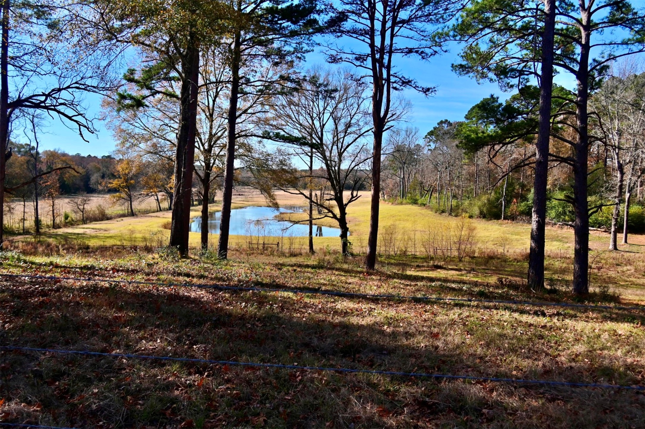 5730 E Fm 323 Palestine TX 75801