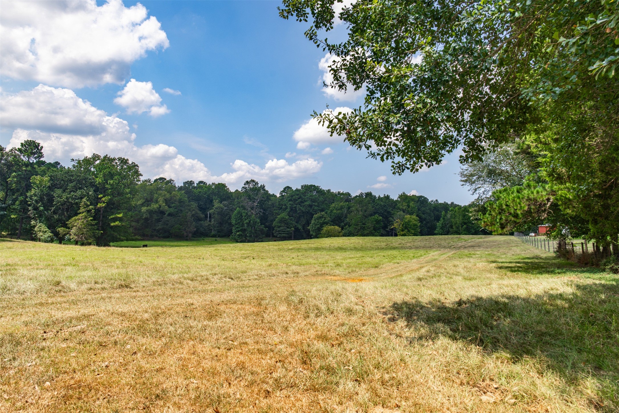 5730 E Fm 323 Palestine TX 75801