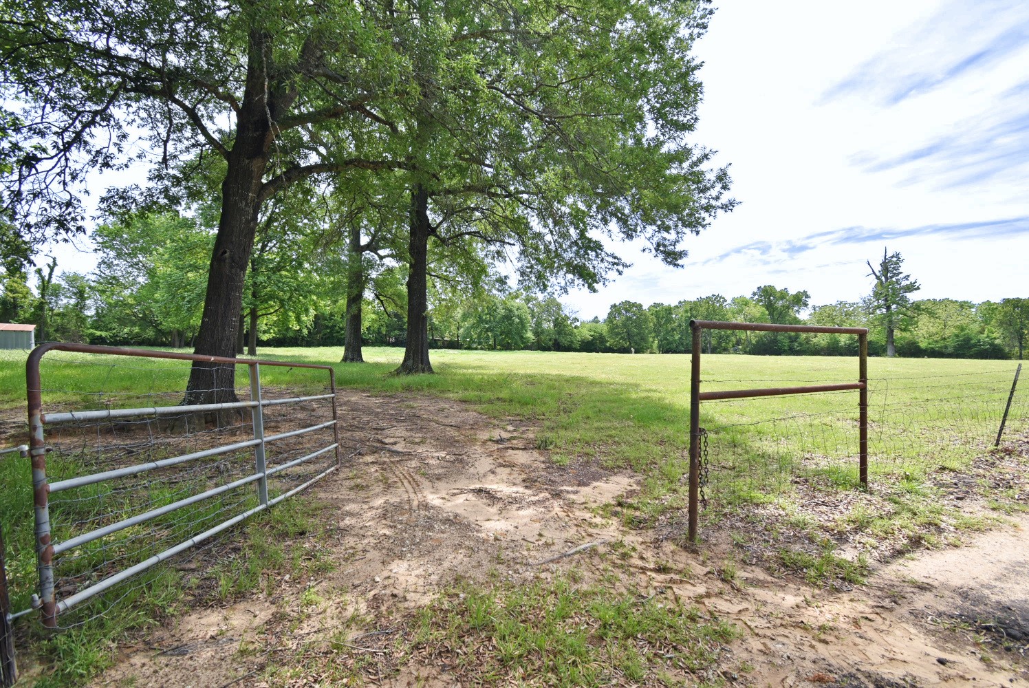 599 County Road 1260 Quitman TX 75783