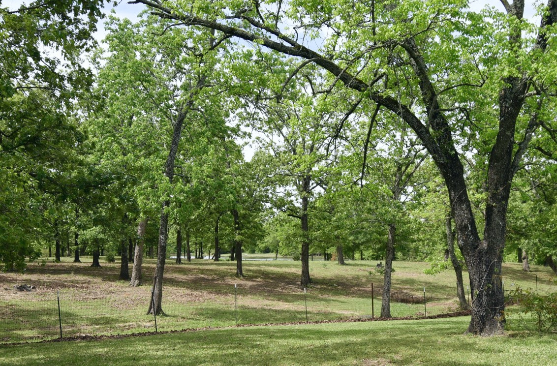 599 County Road 1260 Quitman TX 75783