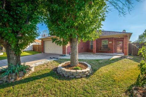1018 Port Neches Drive Little Elm TX 75068