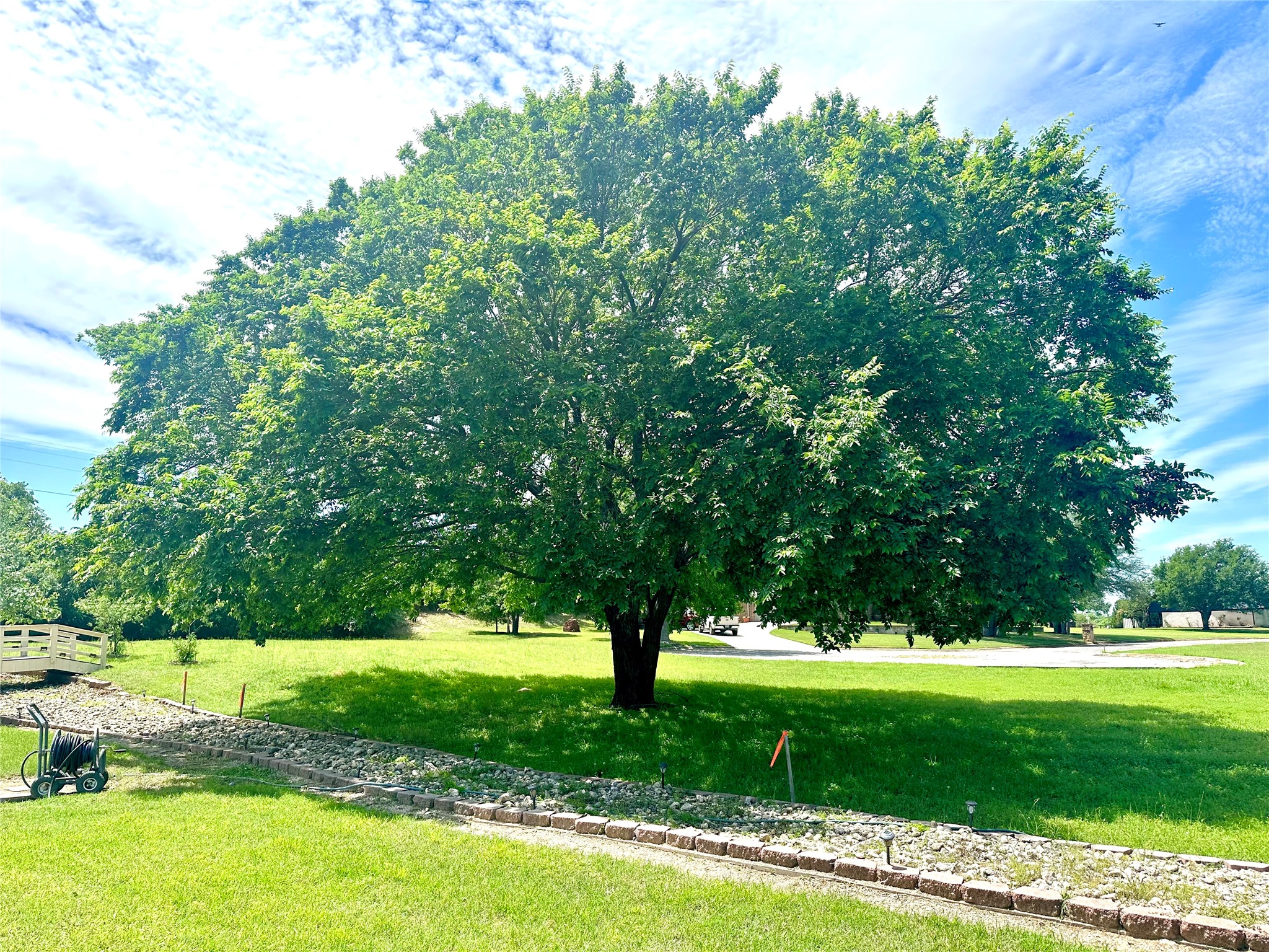 102 Palmer Drive Comanche TX 76442