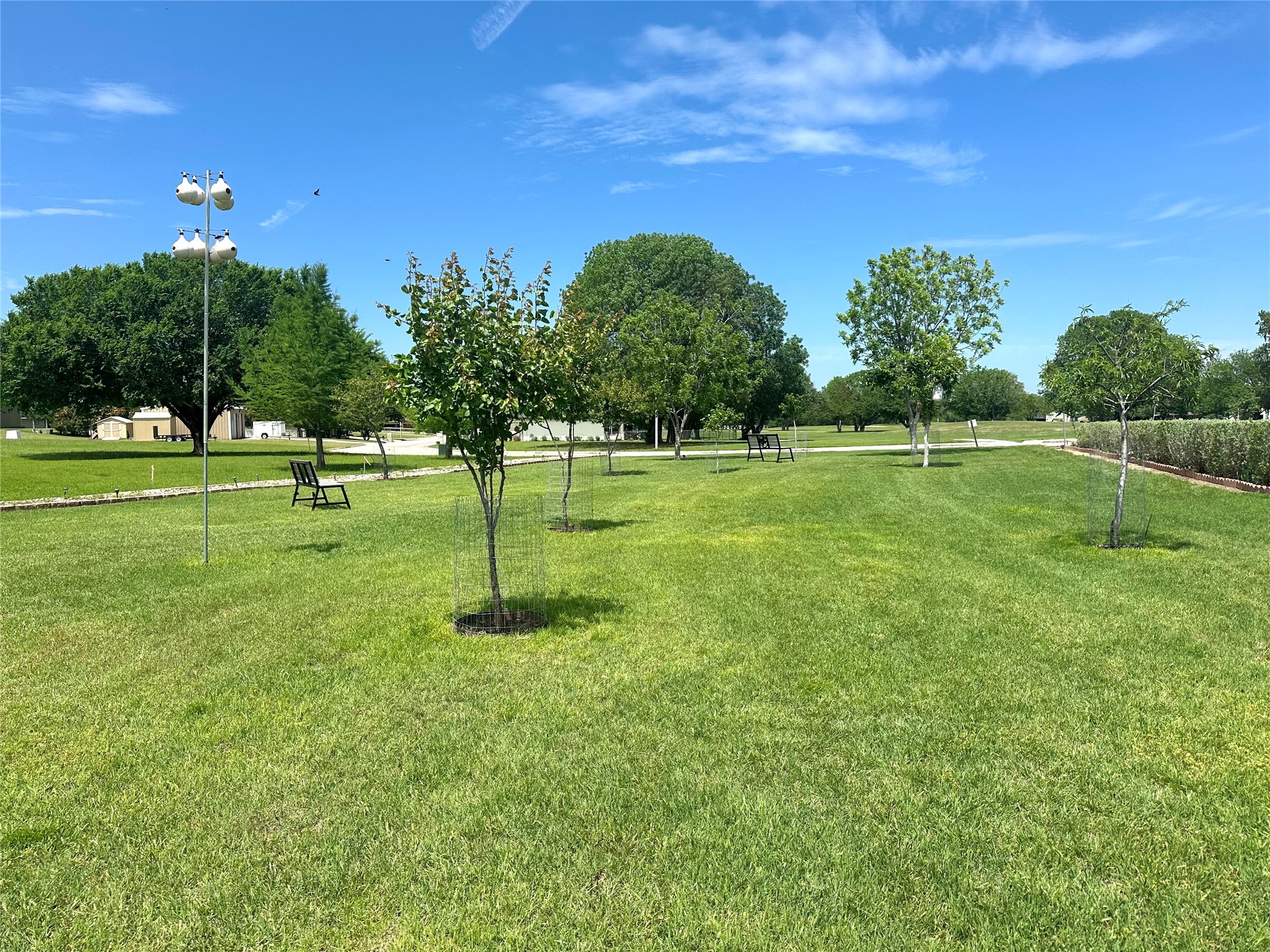 102 Palmer Drive Comanche TX 76442