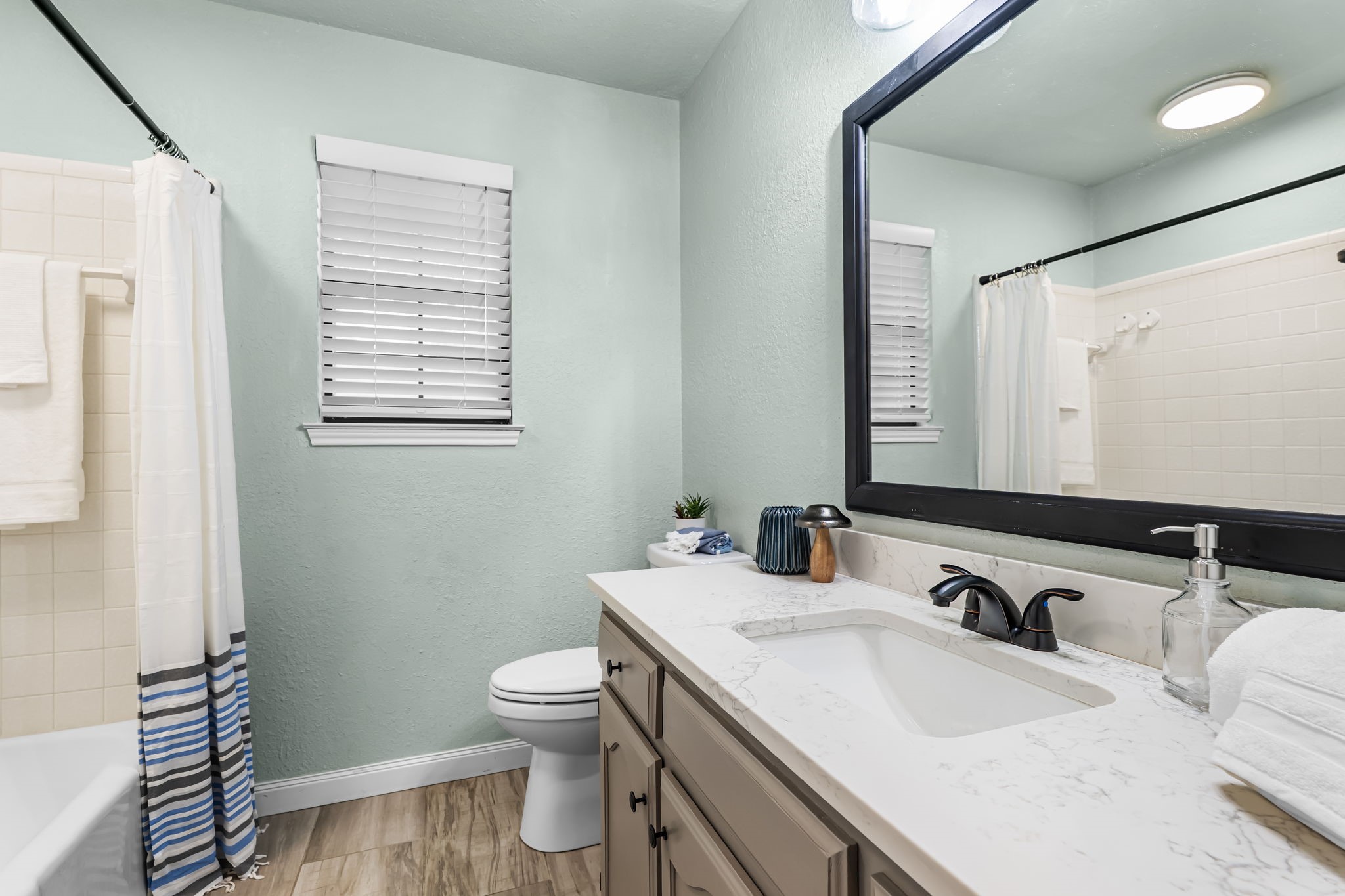 1208 Dendron Drive Hewitt TX 76643