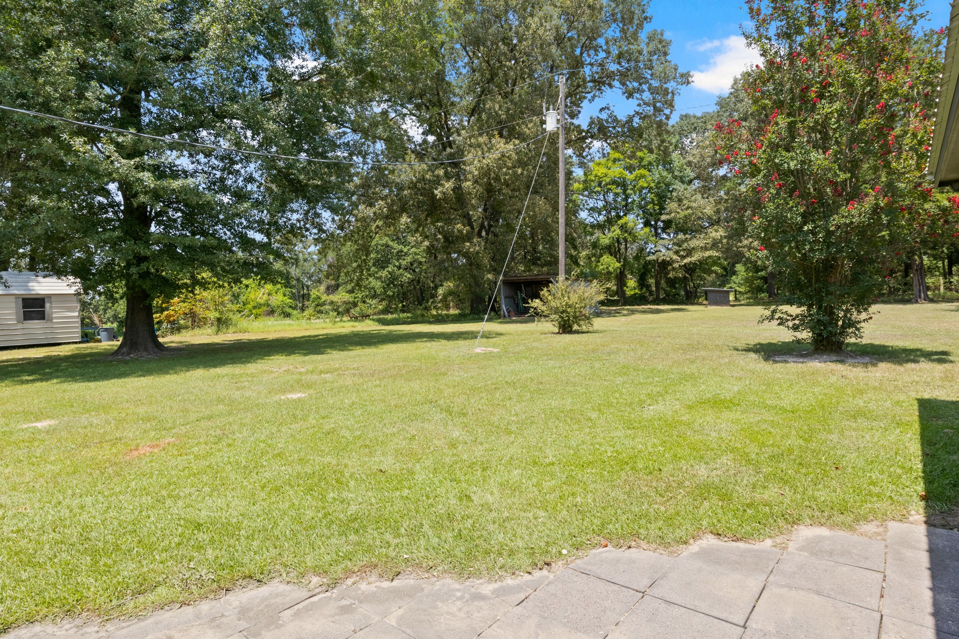 259 County Road 2407 Leesburg TX 75451