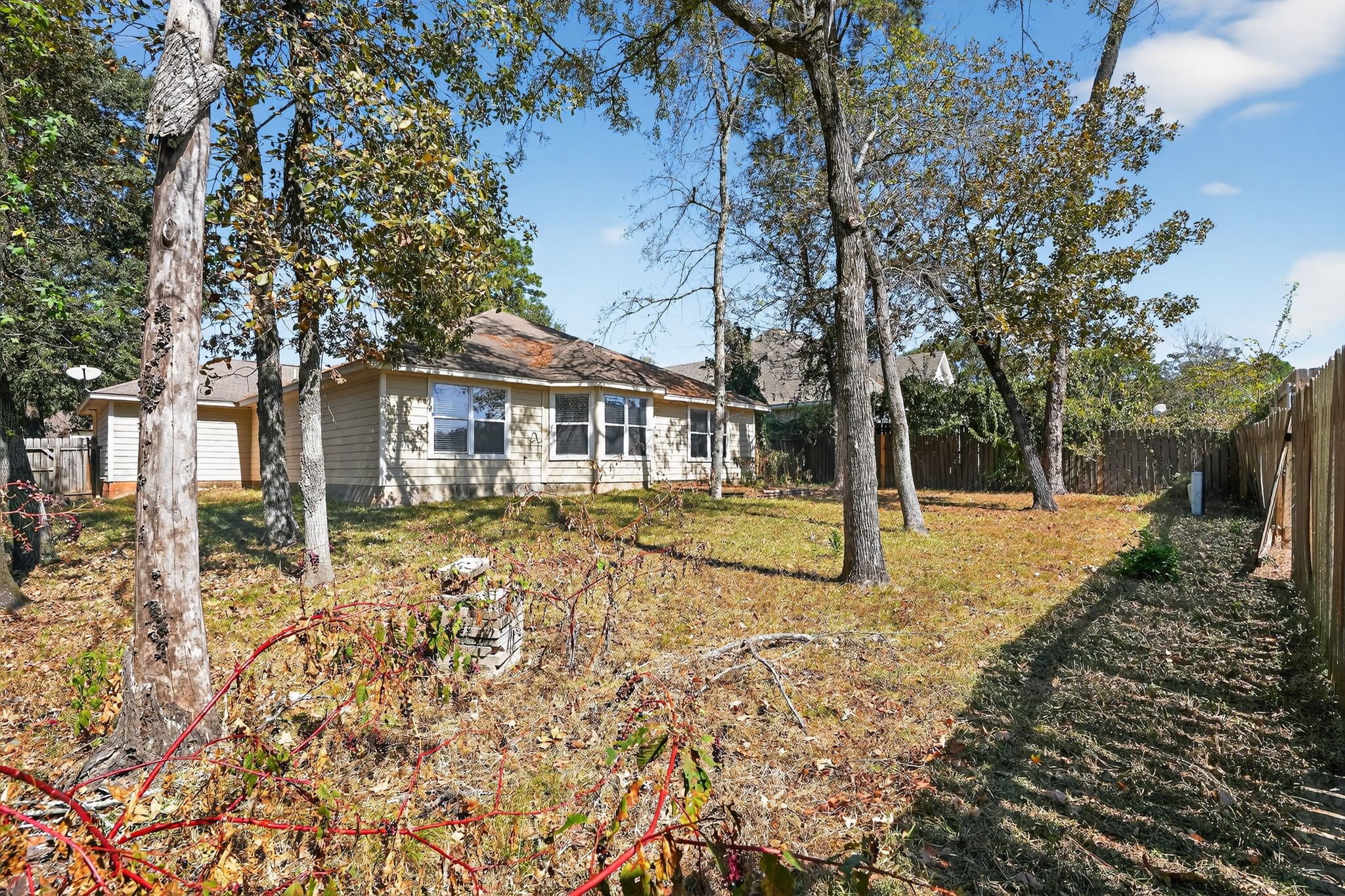 12040 Maverick Drive Willis TX 77378