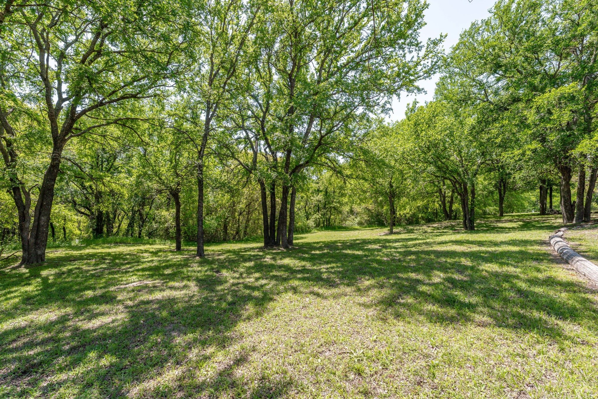 317 Peach Street Dublin TX 76446