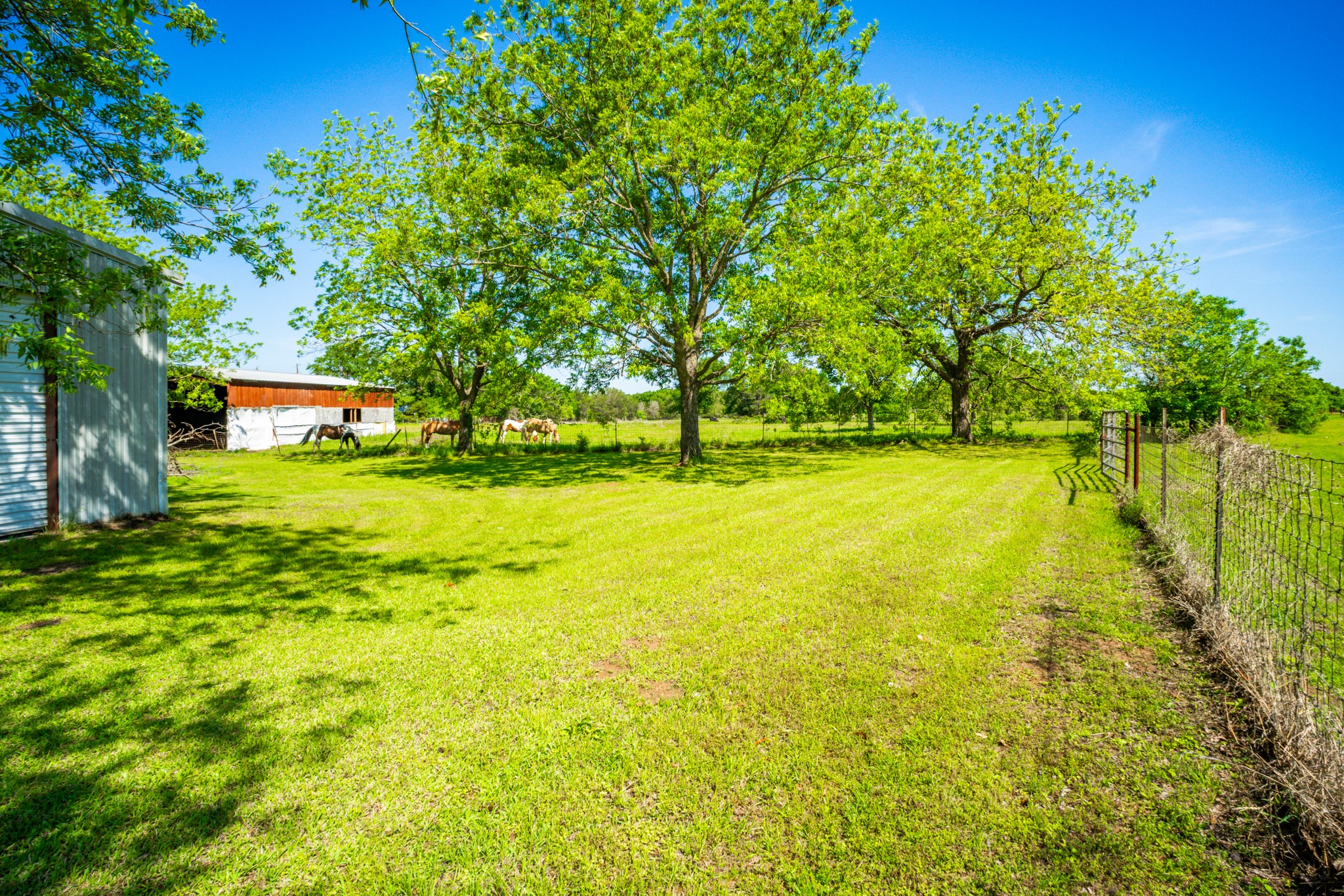 682 Lcr 450 Mexia TX 76667