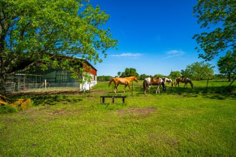 682 Lcr 450 Mexia TX 76667
