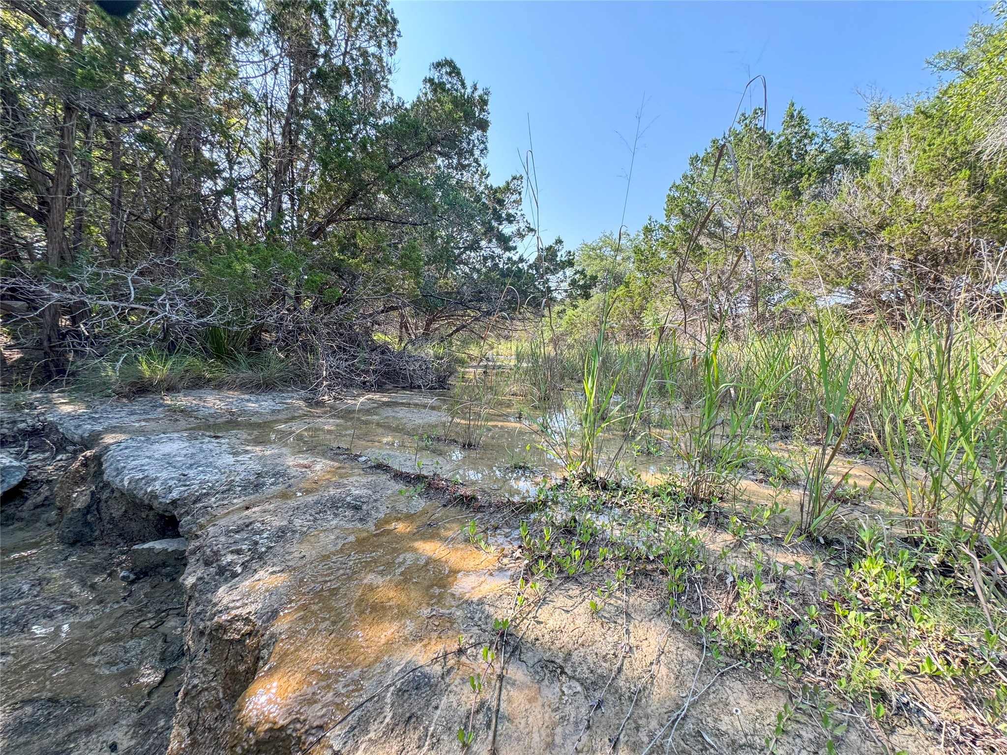 515 Big Creek Road Blanco TX 78606