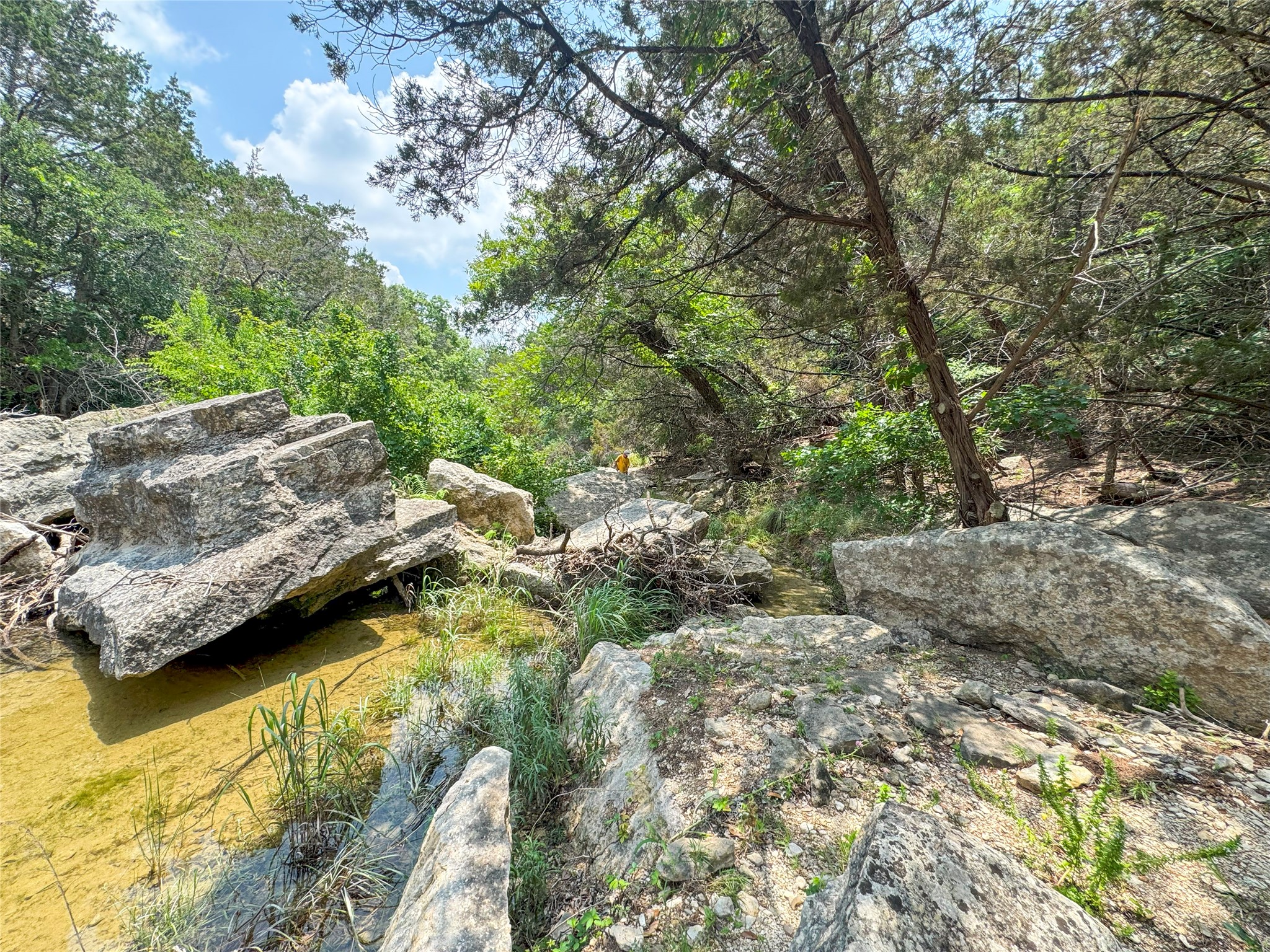 515 Big Creek Road Blanco TX 78606