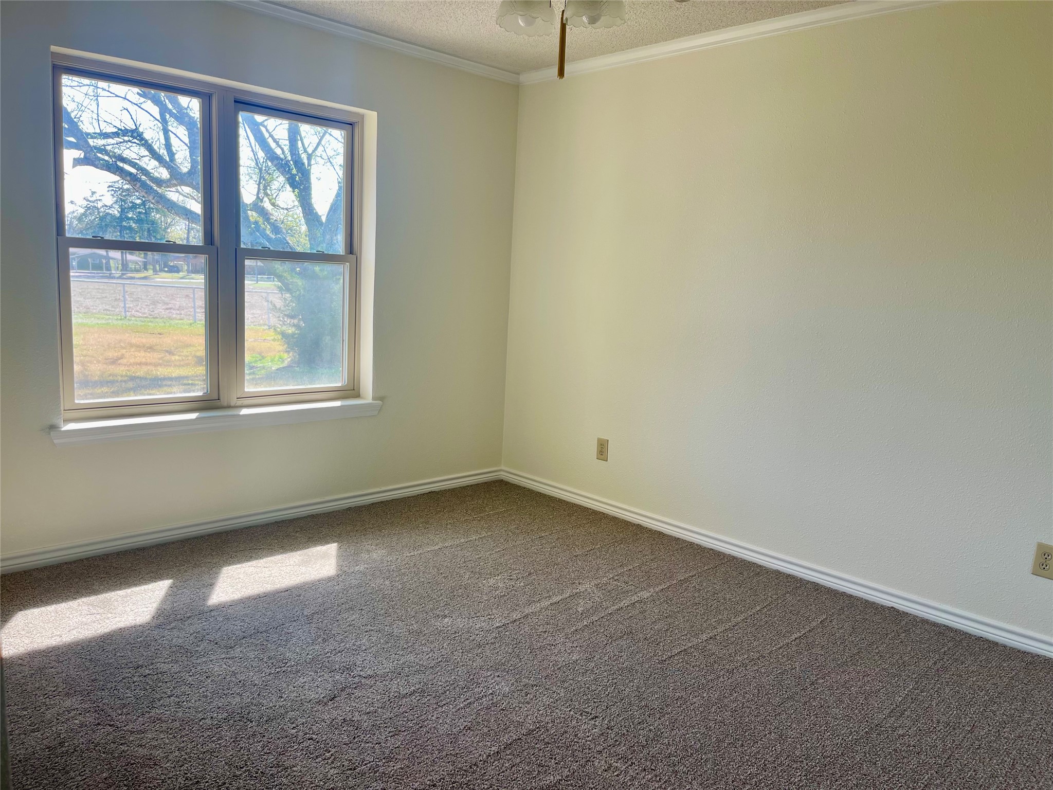 1624 County Road 1560 Alba TX 75410