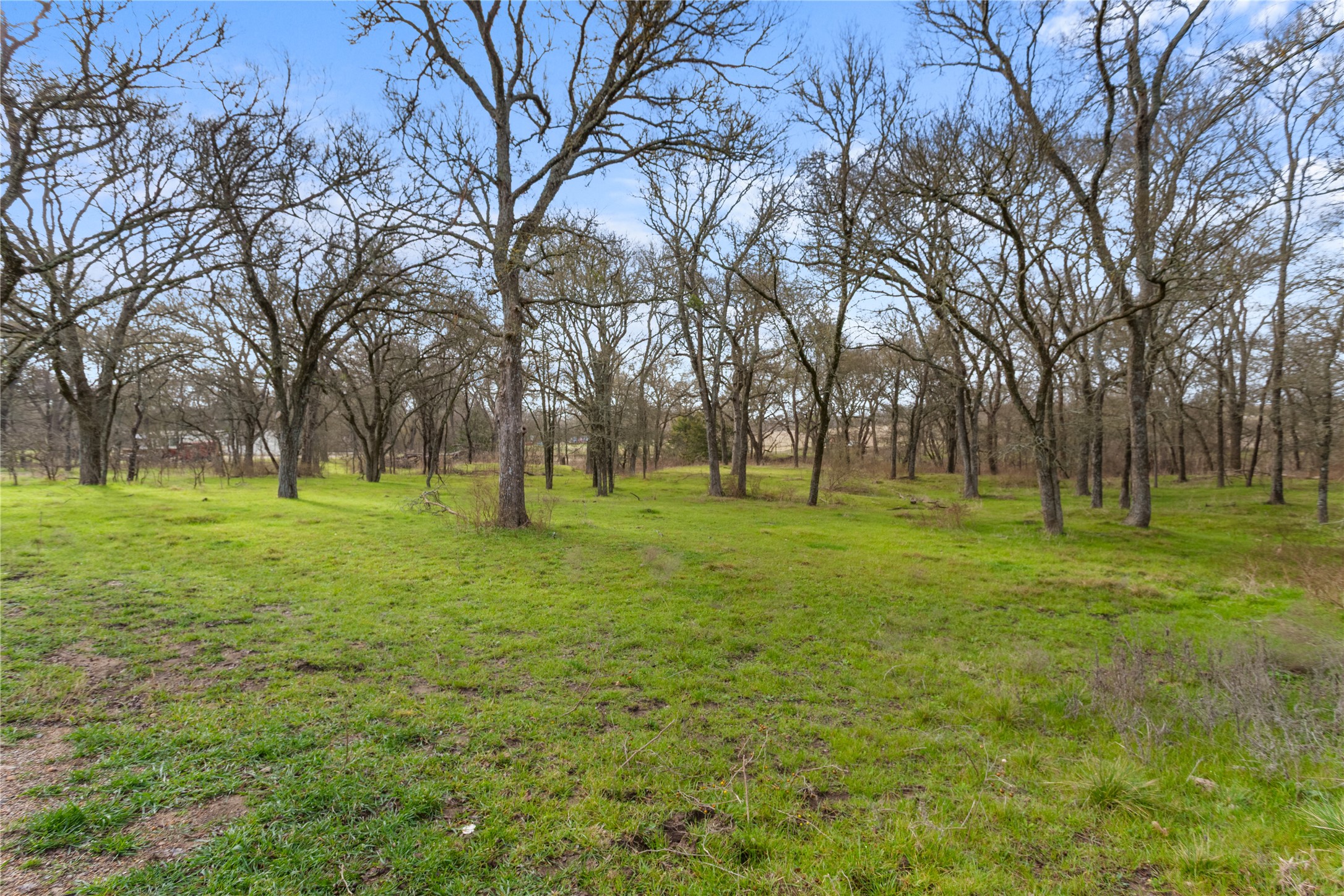 1447 Red Gate Road Mart TX 76664