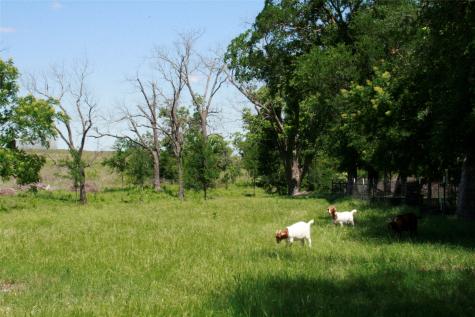 12845 Highway 6 Iredell TX 76649