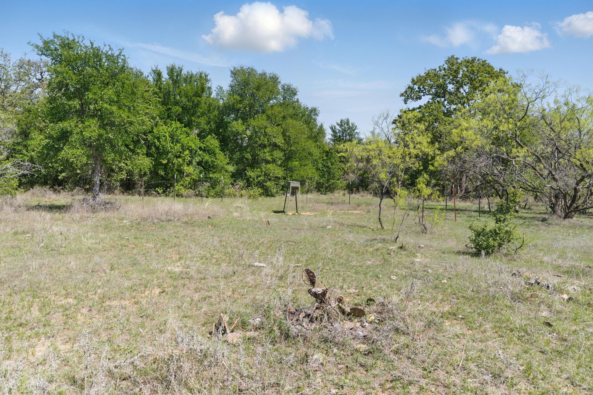 1359 County Road 195 Gorman TX 76454