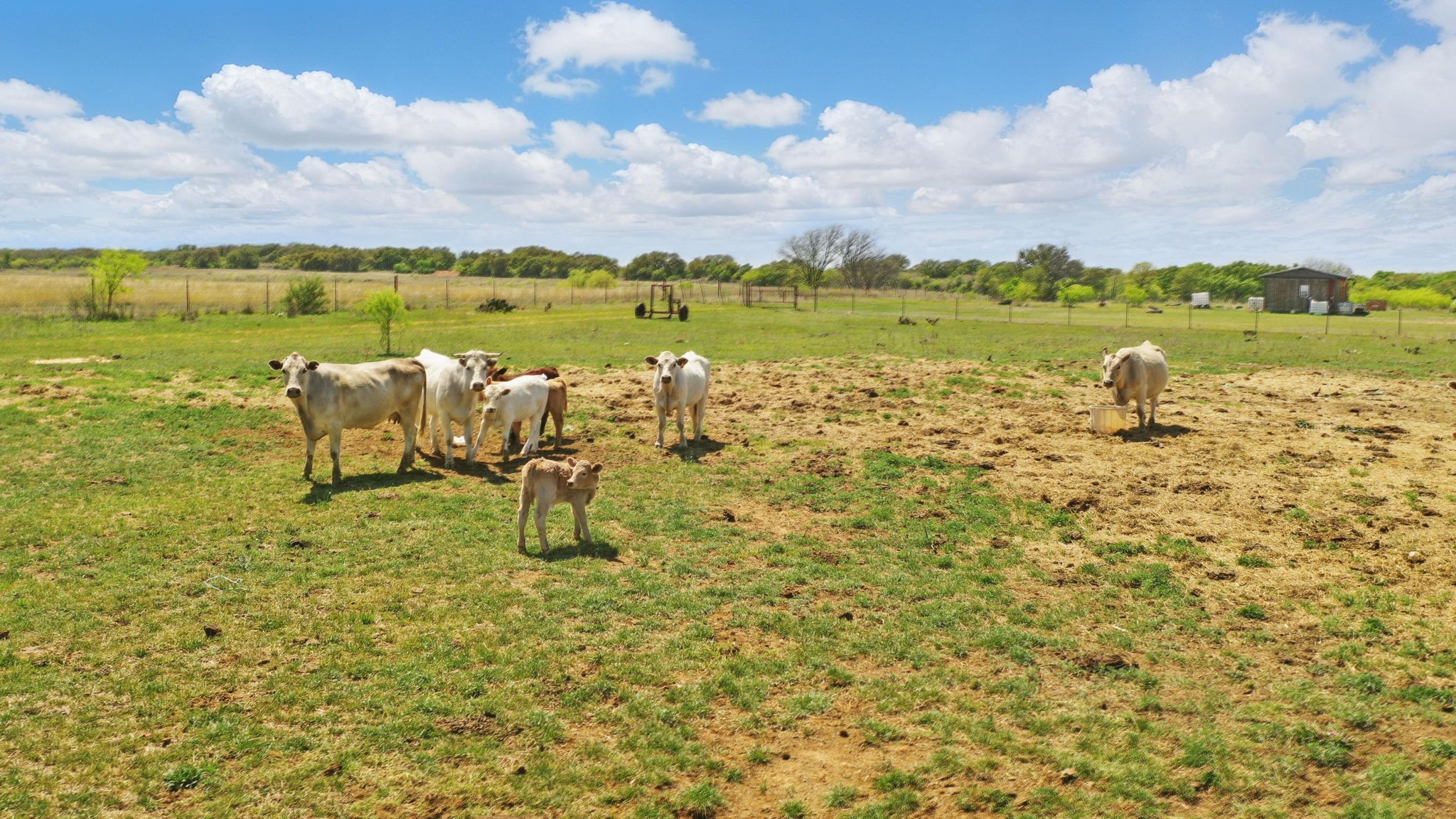 1359 County Road 195 Gorman TX 76454