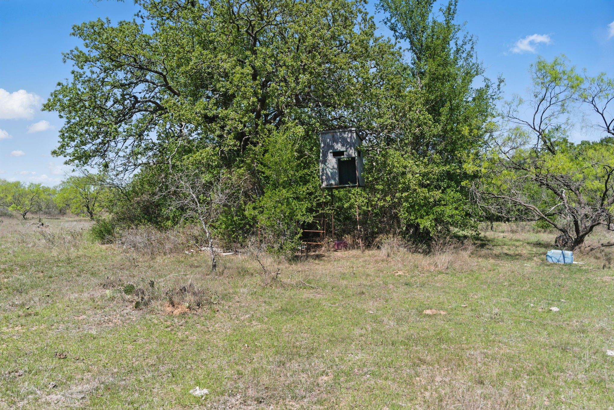 1359 County Road 195 Gorman TX 76454