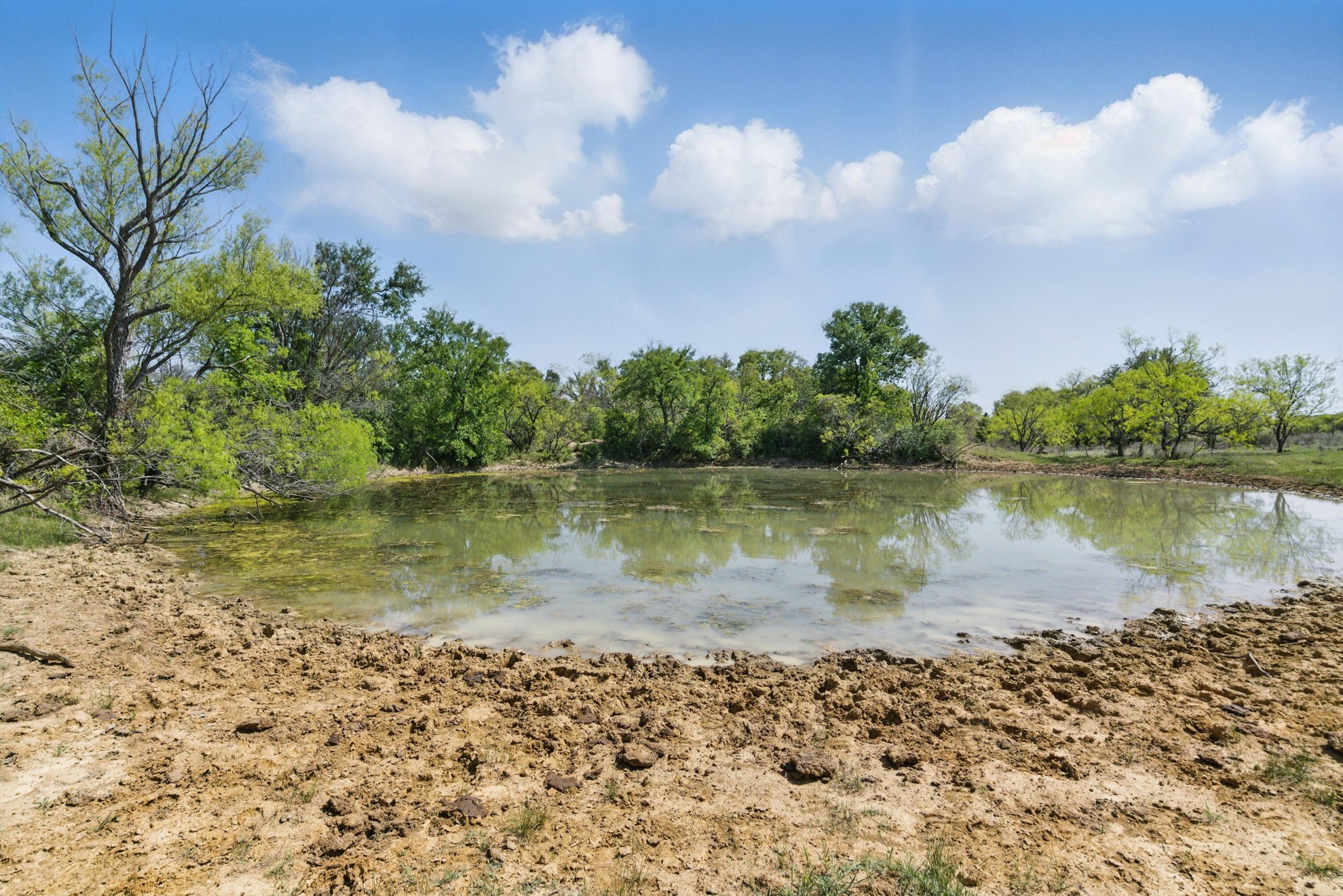 1359 County Road 195 Gorman TX 76454