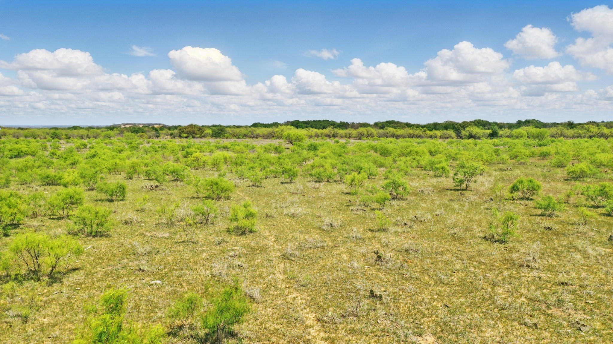 1359 County Road 195 Gorman TX 76454