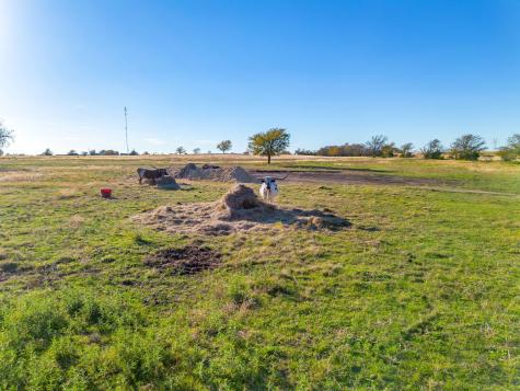 1791 N Fm 730 Road Decatur TX 76234