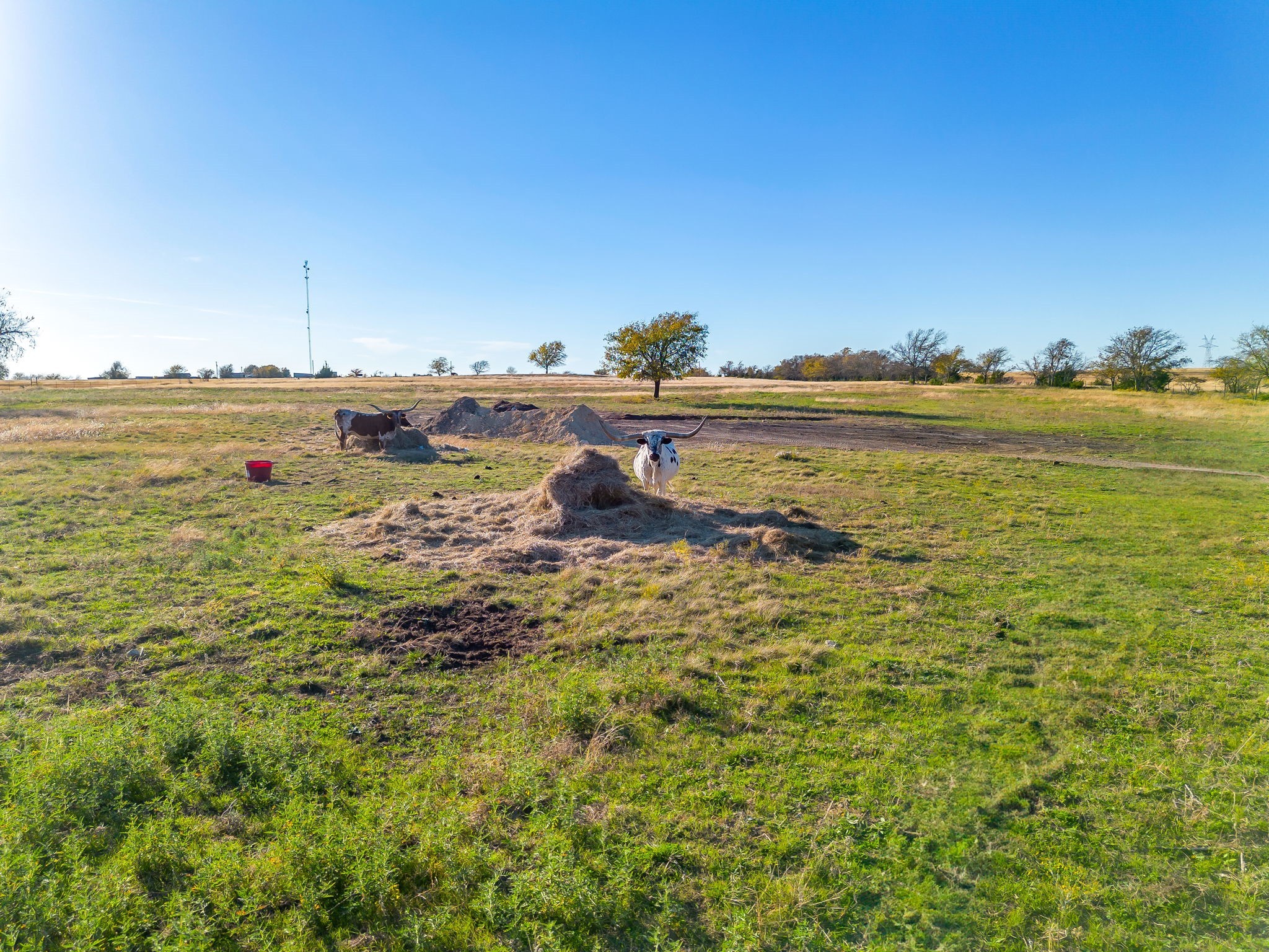 1791 N Fm 730 Road Decatur TX 76234