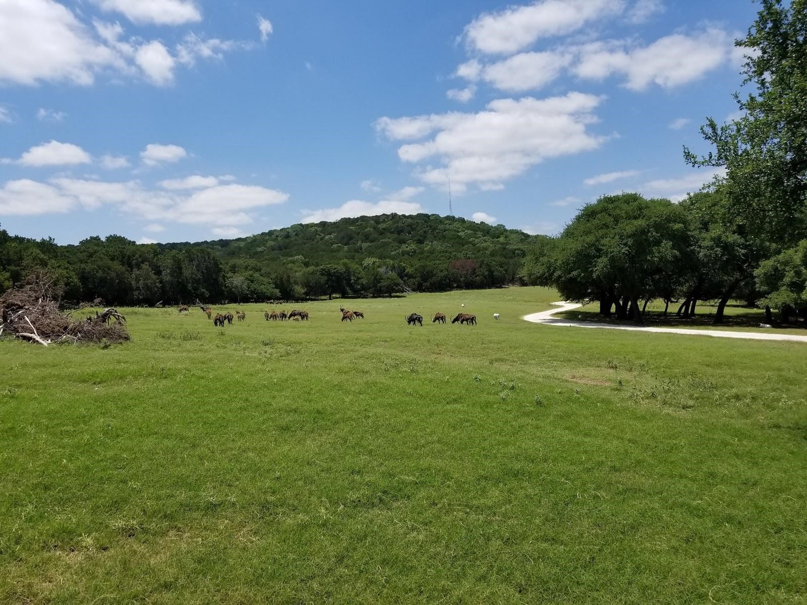 1584 Hidden Oaks Trail Glen Rose TX 76690