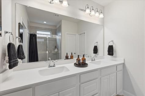 769 Lady Tessala Avenue Lewisville TX 75056