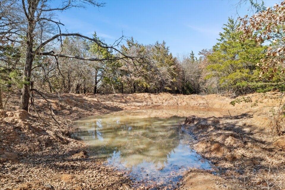 298 Greanead Road Forestburg TX 76239