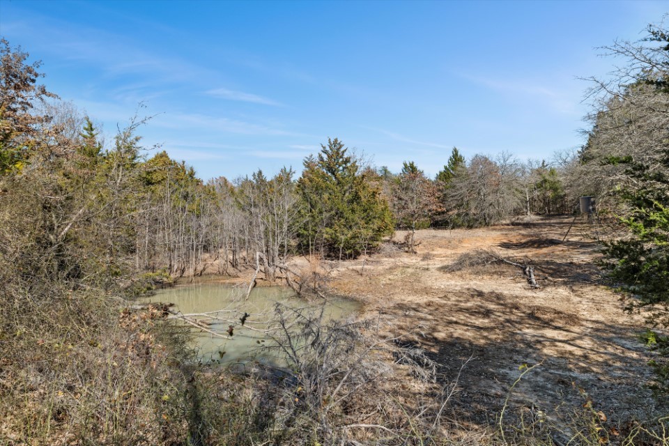 298 Greanead Road Forestburg TX 76239