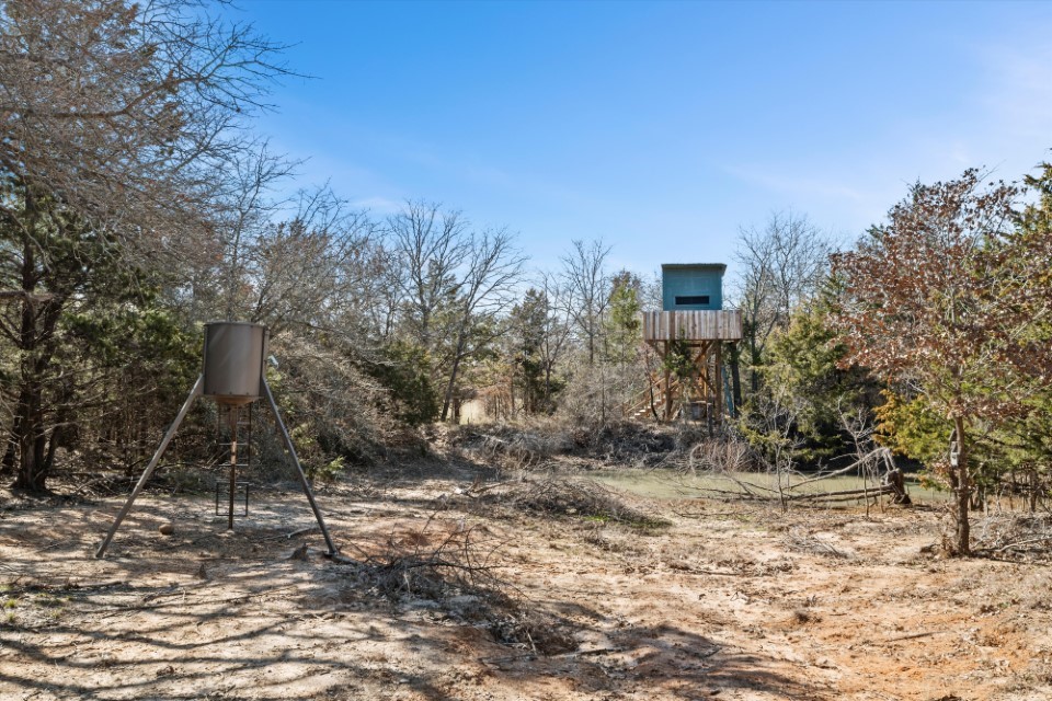 298 Greanead Road Forestburg TX 76239