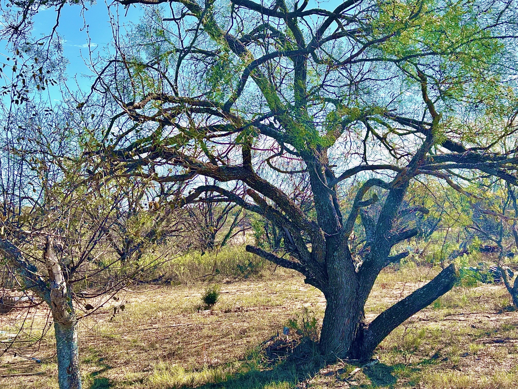 5400 County Road 147 Brownwood TX 76801