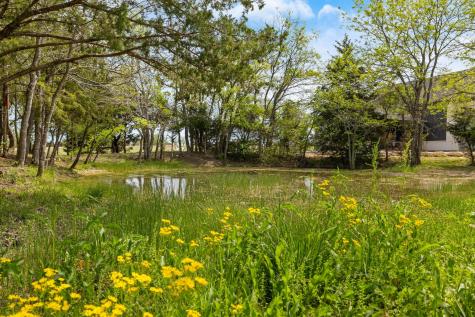 313 Ryker Lane Gunter TX 75058