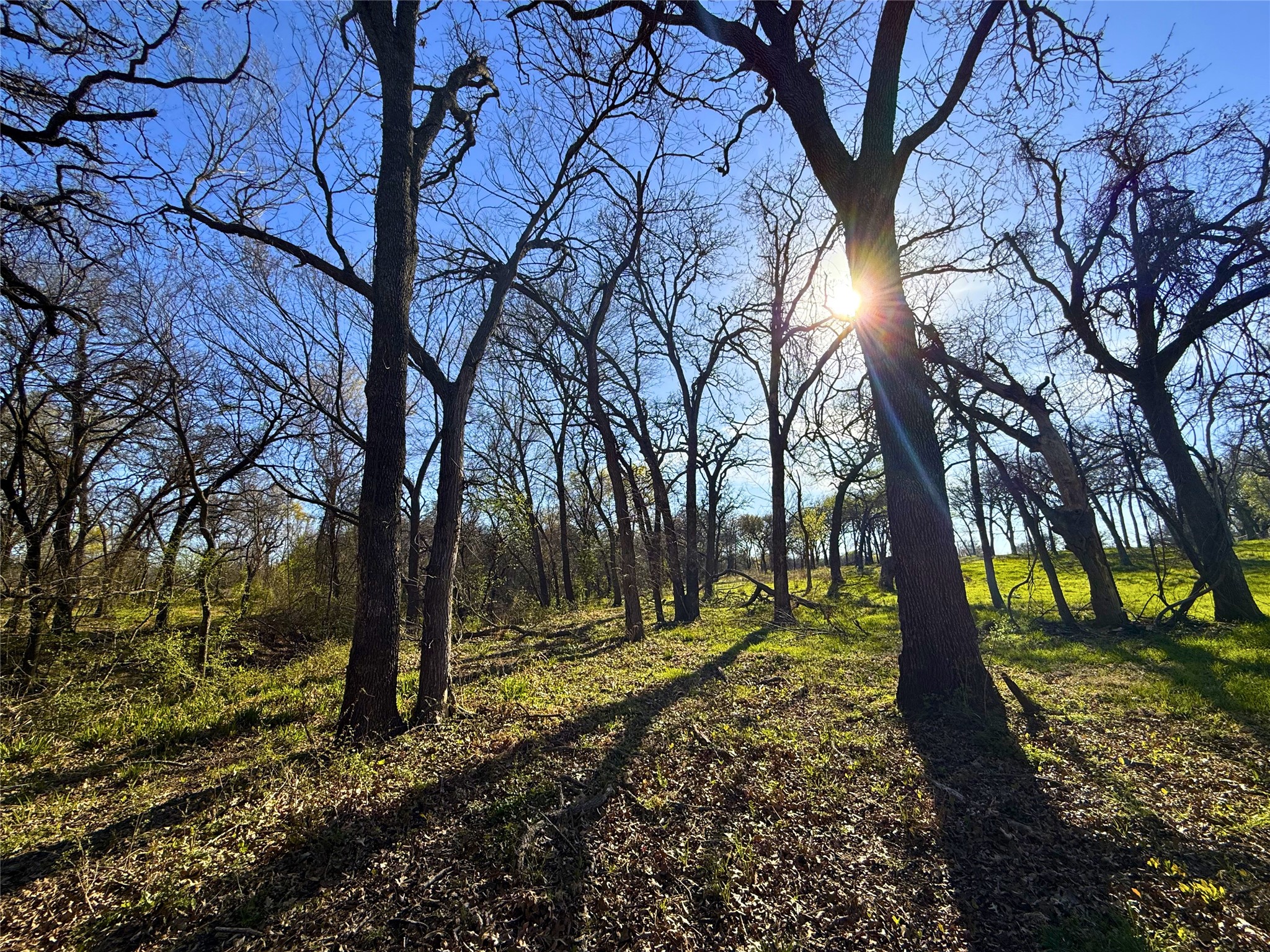 2196 Old Agnes Road Weatherford TX 76088