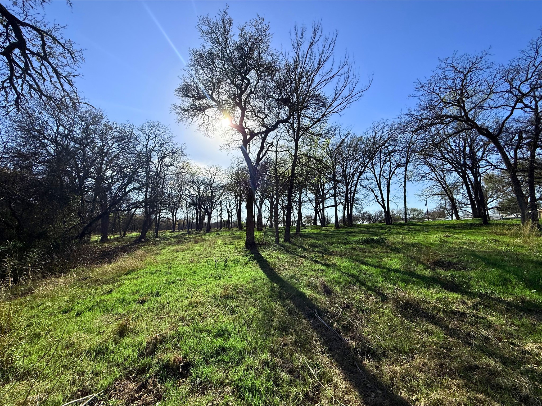 2196 Old Agnes Road Weatherford TX 76088
