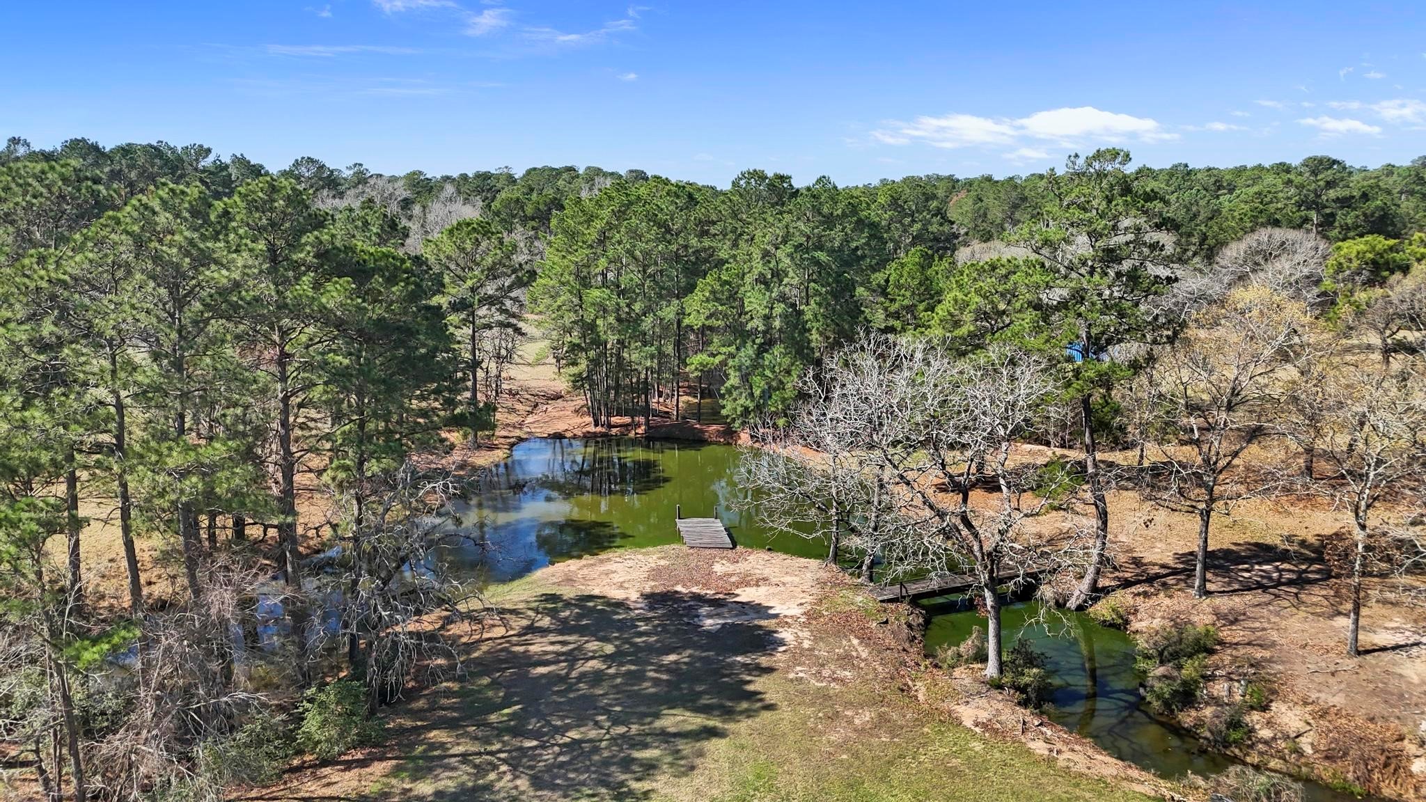 19225 Forest Service Road 219 Richards TX 77873