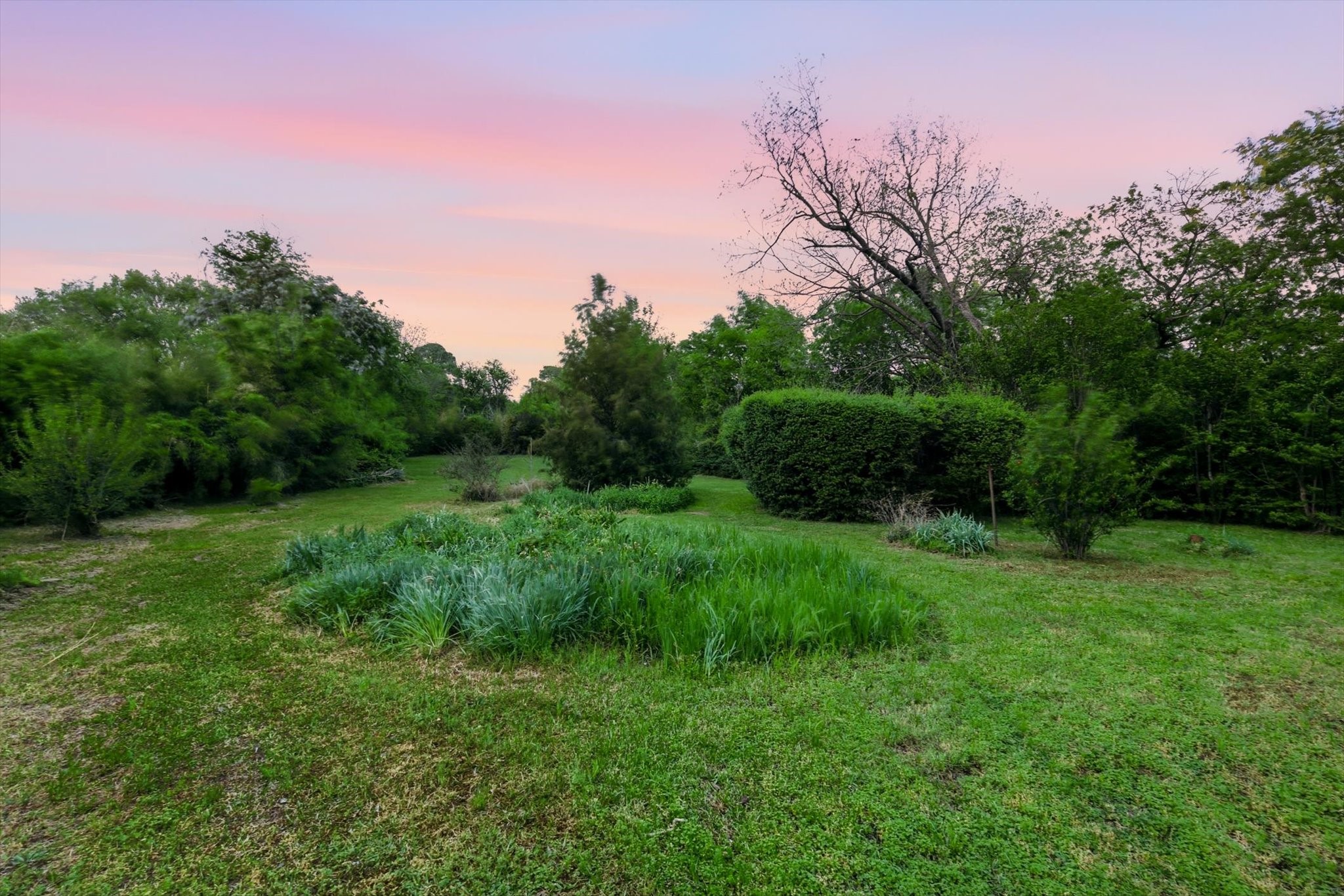 2044 W Oak Street Denton TX 76201