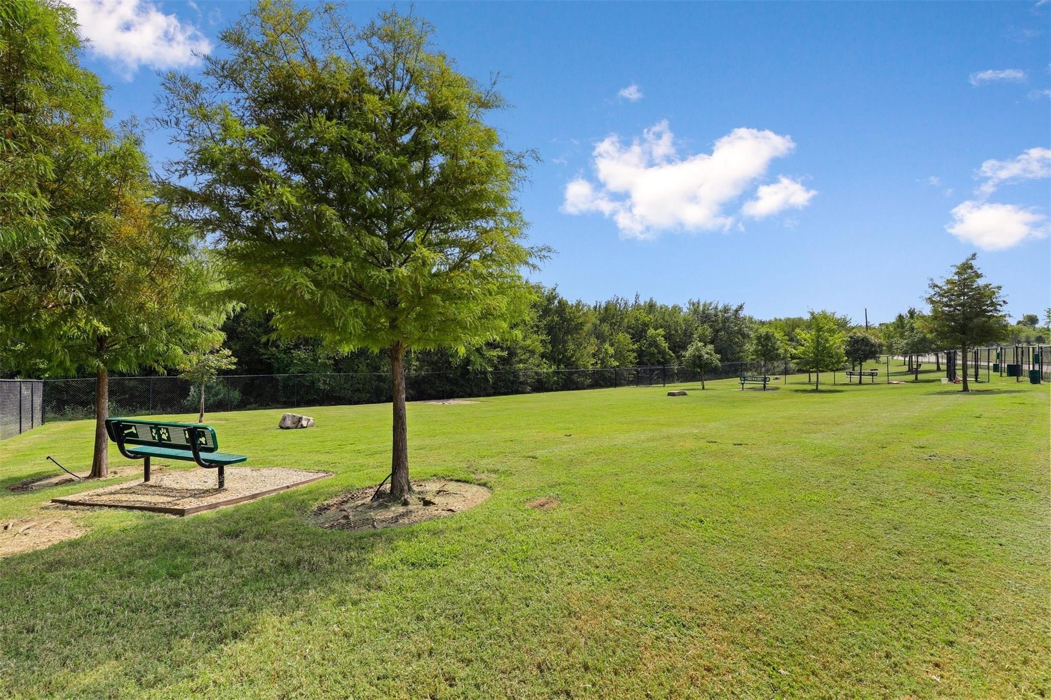 1721 Shoebill Drive Little Elm TX 75068