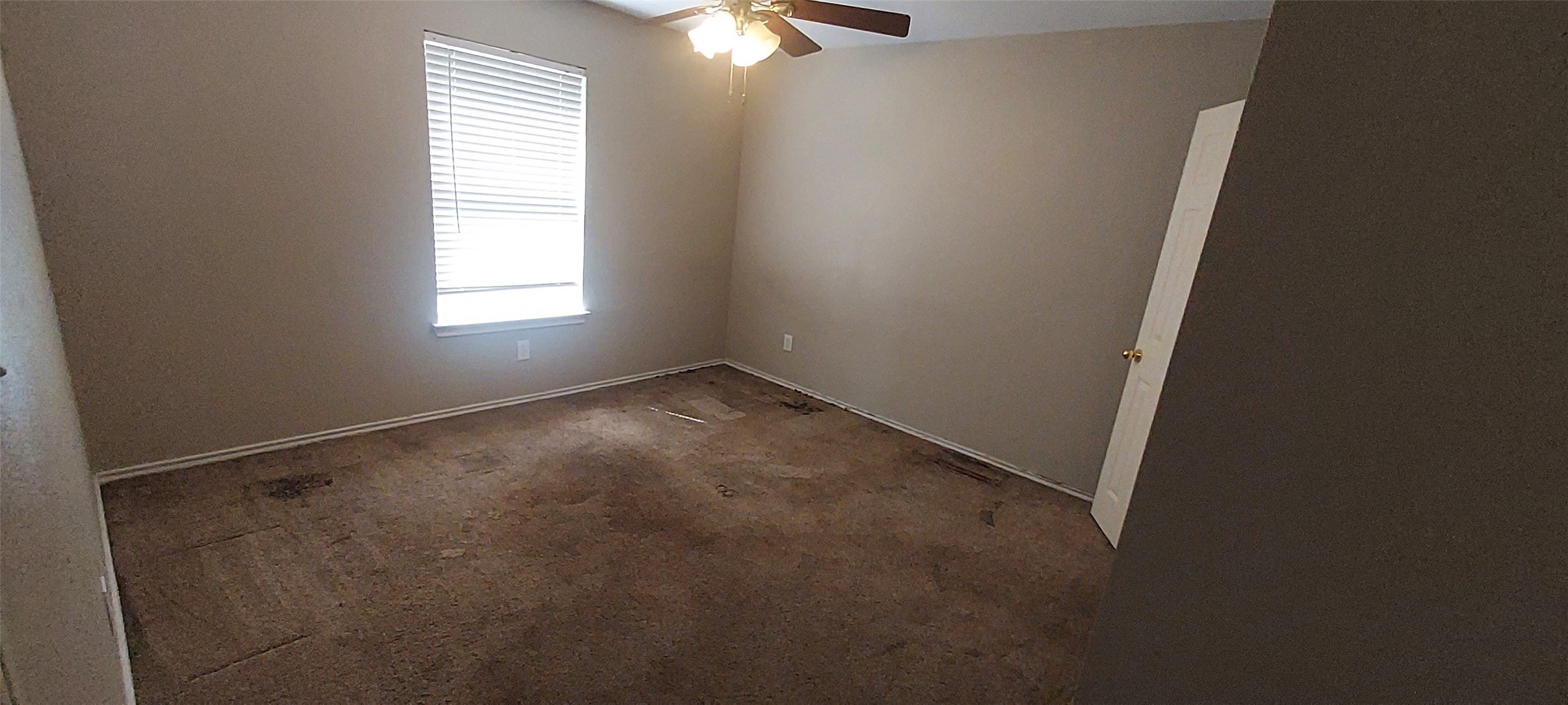 1011 Bainbridge Lane Forney TX 75126